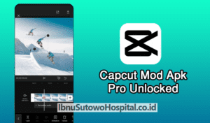 capcut pro mod apk