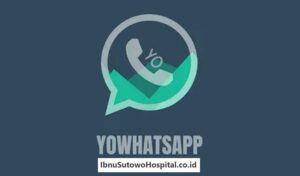 YoWhatsApp Apk