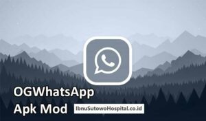 ogwhatsapp apk mod