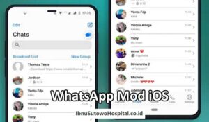 whatsapp mod iOS