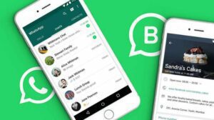 Business-WhatsApp-Apk