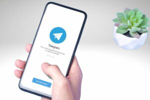 Terlihat Belakangan Ini di Telegram