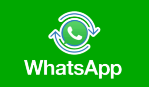 Cara Backup Whatsapp Tanpa Google Drive