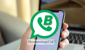 Download briwhatsapp apk mod