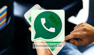 Download HMWhatsapp Apk Mod anti banned