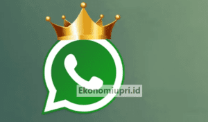 king whatsapp apk mod