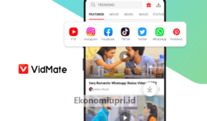 vidmate apk yang asli