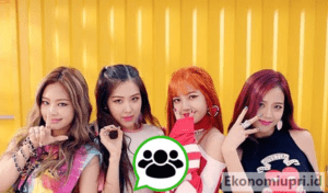 Link Grup WA Blackpink