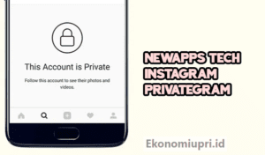 Newapps Tech Instagram Privategram